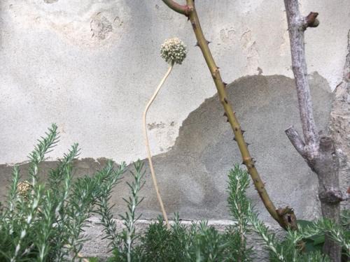 Montorfano Casa | cascina lago