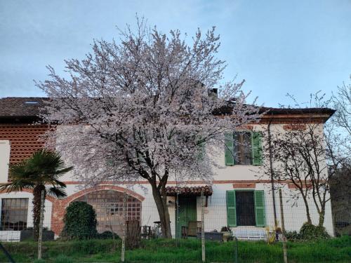 Asti Cama Y Desayuno | Cascina Patrizia