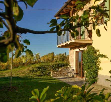 Mango Casa | Cascina Romanino