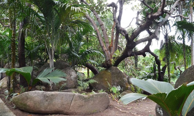 Mahe Island Casa | Cashew Nut Grove Chalets