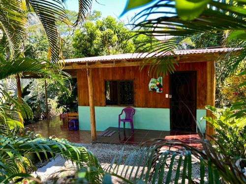 Cabuya Casa | Casita Colibri