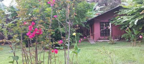 Bahía Drake Apartamento | Casita Colibri Playa Rincon Bahia Drake