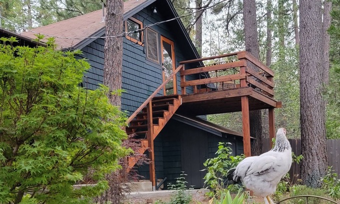 Idyllwild Apartamento | Casita Ranchita Mountain Loft in Town