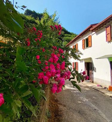 Fabbriche di Vergemoli Casa | CASOLARE TROMBACCO