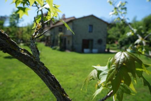 Abbadia San Salvatore Cama Y Desayuno | CASTAGNA DULCIS