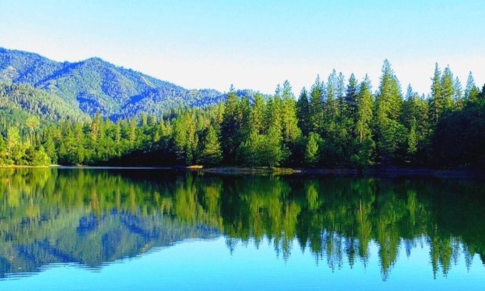 Lakehead-Lakeshore Otro | Castle of Lake Shasta - Direct Lake Elegance
