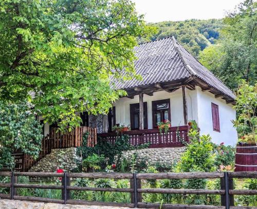 Tirgu Lapus Casa | Casuta Fermecata, Tara Lapusului