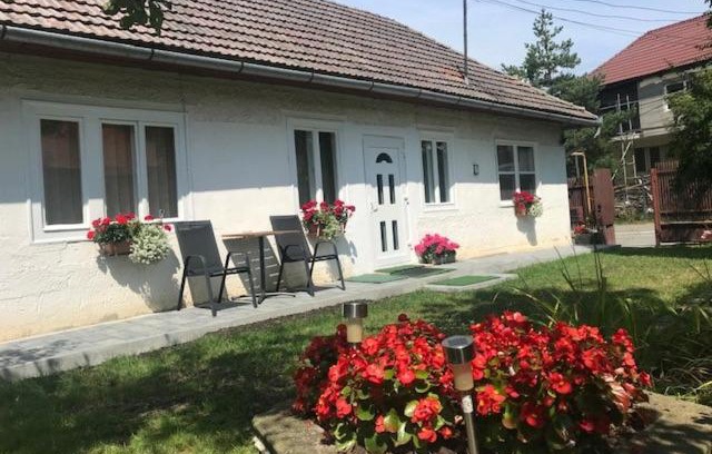 Covasna Casa | Casuta Sanatatii