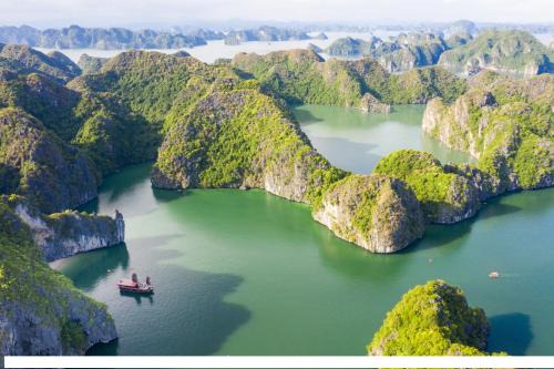Cat Hai Alquiler De Eote | Cat Ba Cruise