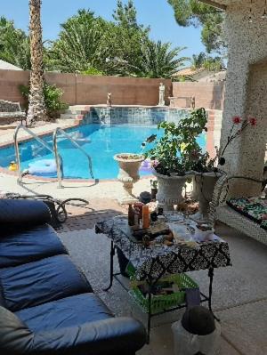 Paradise Casa | CATmosphere