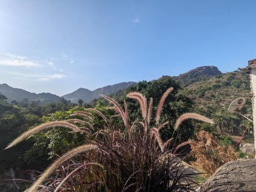 Mount Abu Casa | Cave Canvas