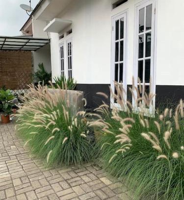 Sukabumi Casa | Ceana House at Selabintana