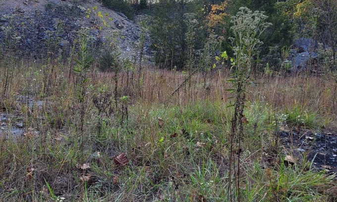 Freedom Alquiler De RV | Celtic Glen Farm Stay - Quarry Site