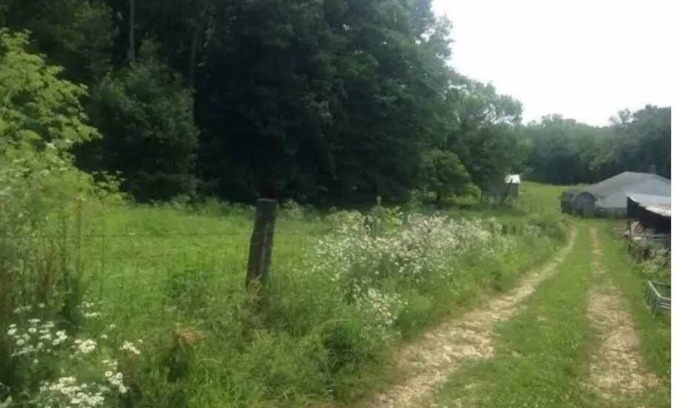 Freedom Alquiler De RV | Celtic Glen Farm Stay - Shady pasture overlook