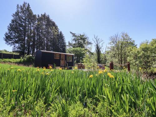Llanelltyd Casa | Celyn