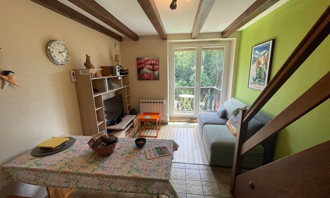 Le Hohwald Apartamento | Centro Alsacia en las montañas medias LE HOHWALD apartamento 4 personas
