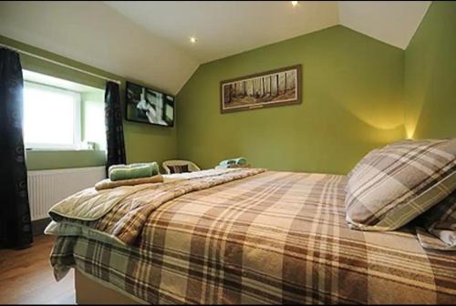 Shillelagh Casa | Central House