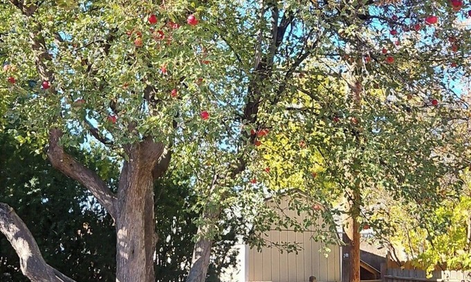 Idaho Falls Casa | Central Syringa Sanctuary in Idaho falls