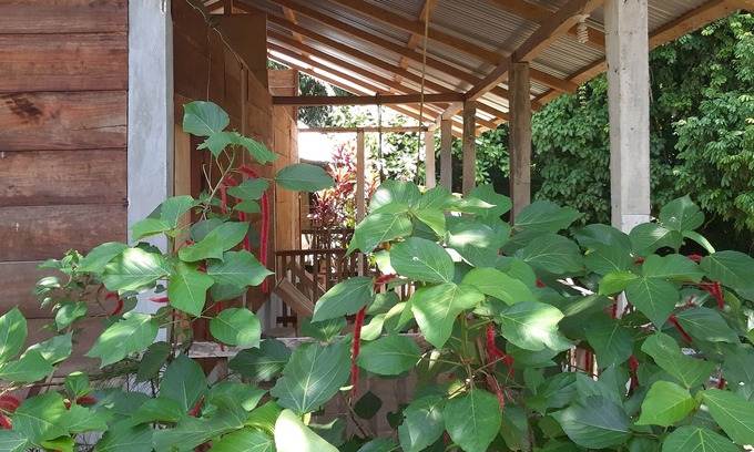 Lacanjá Hotel | Centro Ecoturistico Yaajche