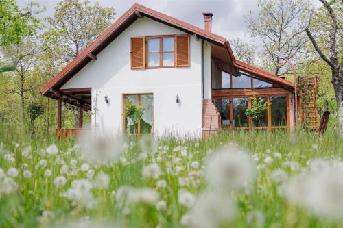 Vaideeni Casa | Cerdacul din Livada - Căsuța din Livadă