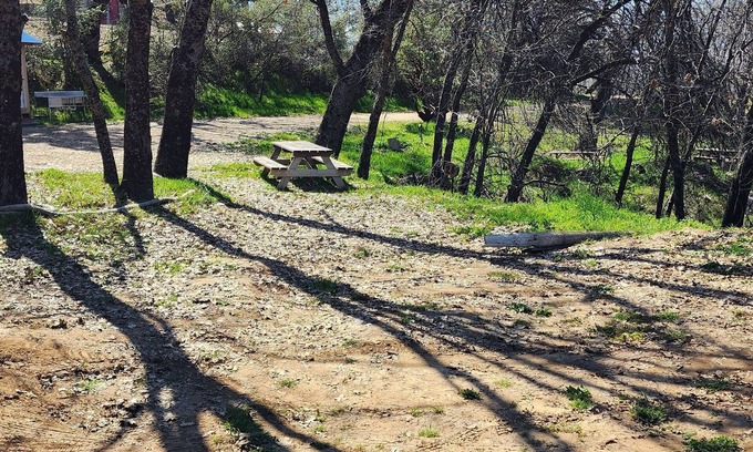 Pinehurst Alquiler De RV | CG24 Lrg Campsite/Shower | Kings Canyon/Sequoia NP