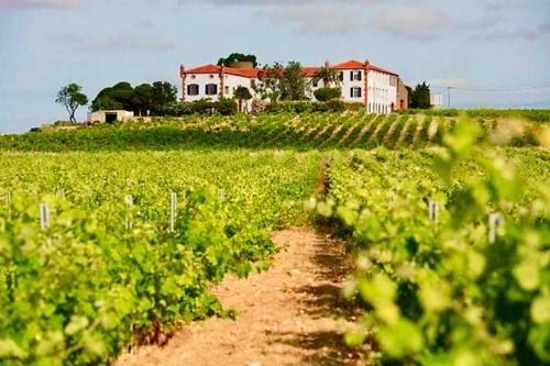 Cabestany Casa | Château au milieu du vignoble avec piscine à 10 mn des plages