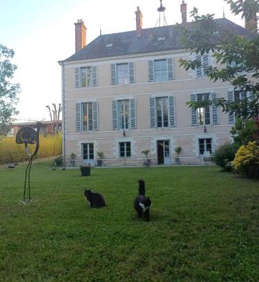Olivet Cama Y Desayuno | Château de la Mothe
