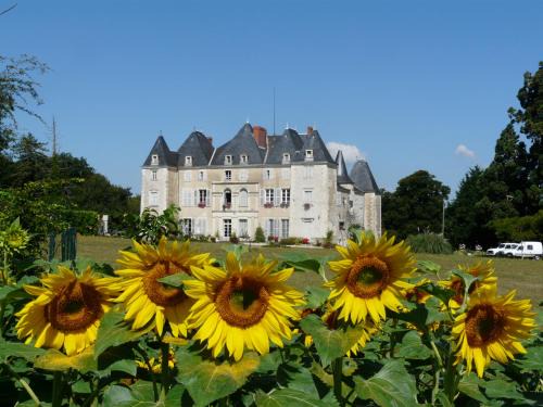 Dange-Saint-Romain Cama Y Desayuno | Château de Piolant