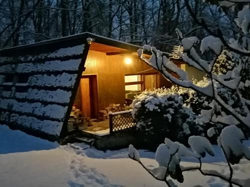 Meszna Chalet De Esquí | Chałpa na skarpie