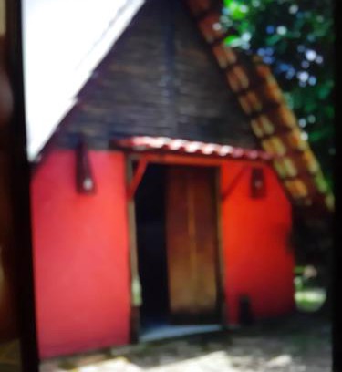 Paraty Apartamento | Chalé Floresta