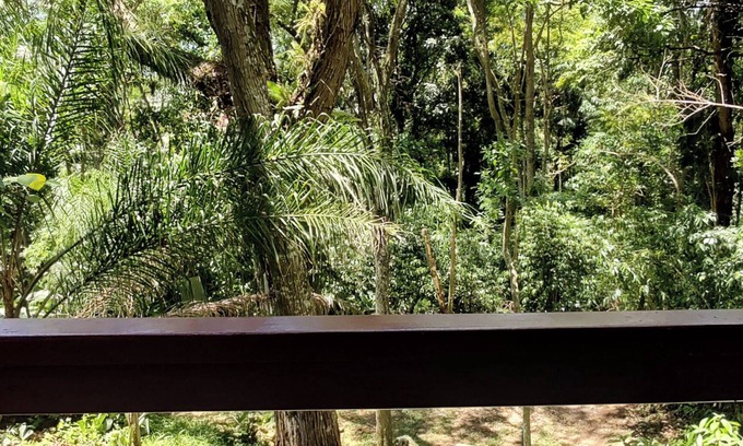 Florianopolis Chalet De Esquí | Chalé Nature na Lagoa da Conceição RM9376