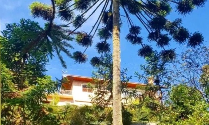 Jardim Andira Casa | Chalé Beijo do Sol - Campos do Jordão