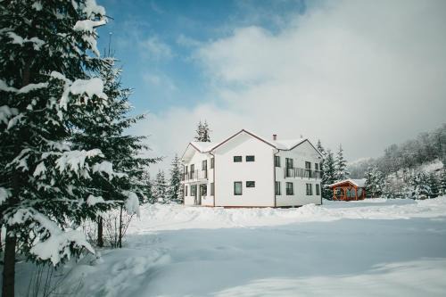 Cavnic Apartamento | Chalet 2B