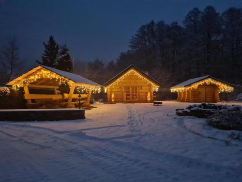 Bad Brambach Chalet De Esquí | Chalet am See