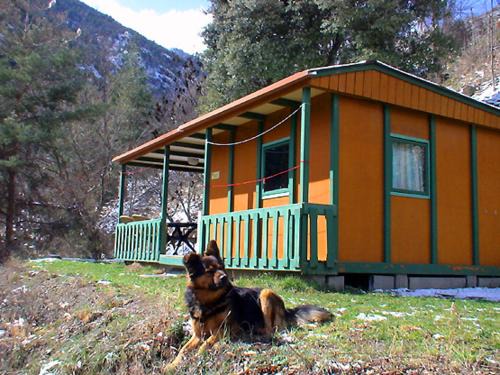 Escaro Otro | chalet-bungalow ombragé
