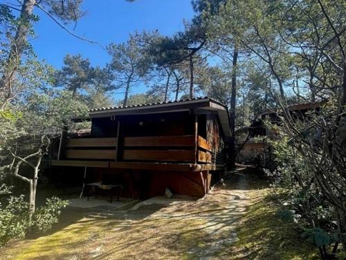 Lege-Cap-Ferret Chalet De Esquí | Chalet Carcans-Maubuisson, 2 pièces, 6 personnes - FR-1-648-115