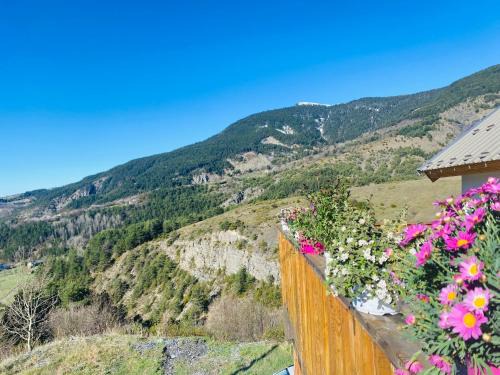 Peone Chalet De Esquí | Chalet en plein coeur du Parc du Mercantour