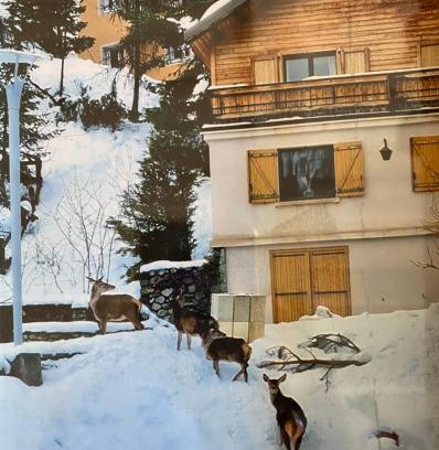 Saint-Etienne-de-Tinee Chalet De Esquí | CHALET FAMILIAL AURON