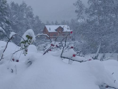L'Hospitalet-pres-l'Andorre Chalet De Esquí | Chalet bois au milieu des Pyrénées