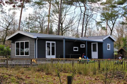 Beekbergen-West Complejo | Chalet & Glamping Ons plekje in het bos