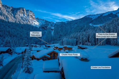 Les Prodains Chalet De Esquí | Chalet Hauts Forts Prodains Mountain Voyages
