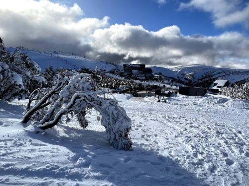 Hotham Heights Apartamento | Chalet Hotham 3