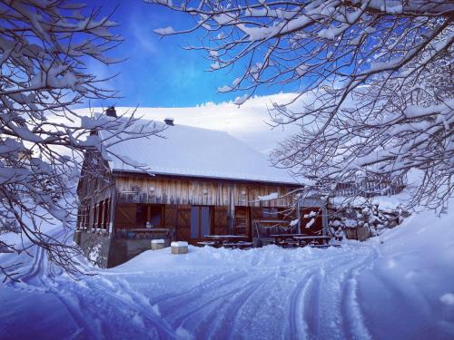 Mieussy Chalet De Esquí | Chalet le Maclavierre
