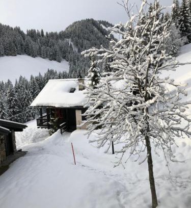 Champoussin Apartamento | Chalet LYS Apartment 14 Rue Sigma