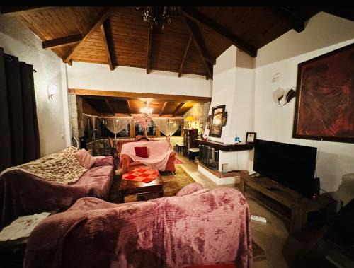 Arachova Chalet De Esquí | CHALET MARIA livadi