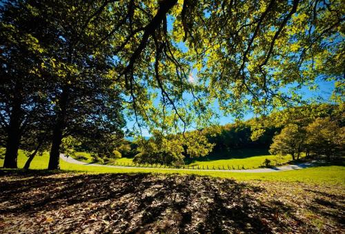 Nocera Umbra Chalet De Esquí | Chalet Monte Alago - Baita in Umbria