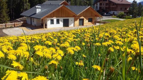 San Martino in Badia Chalet De Esquí | chalet soredl