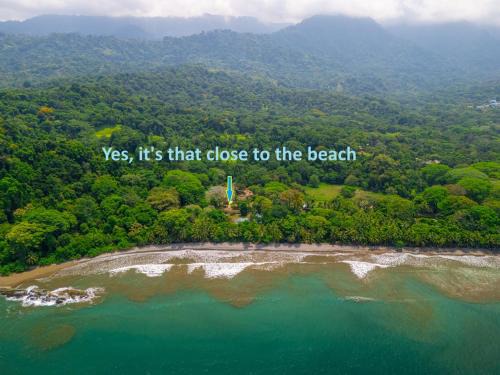 Ballena Villa | Chalet Tropical - by Pura Villas