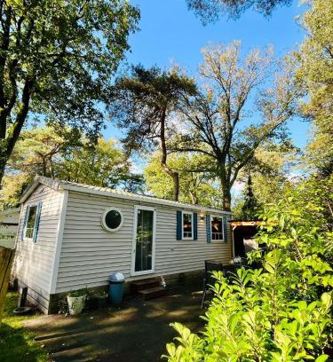 Hardenberg Complejo | Chalet vakantiepark Kleine Belties 18