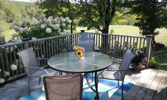 Hartwick Casa | Changing Seasons Game room, large yard, 3 bedroom/2 bath ranch, country setting